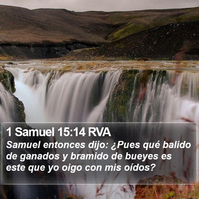 1 Samuel 15:14 RVA Bible Verse Image