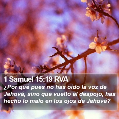 1 Samuel 15:19 RVA Bible Verse Image