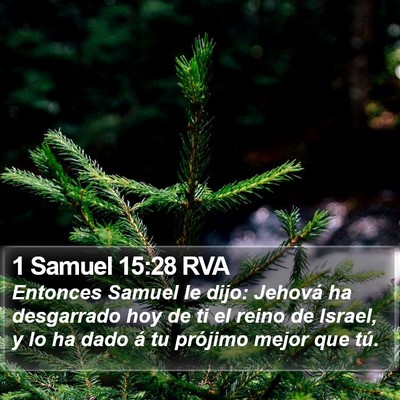 1 Samuel 15:28 RVA Bible Verse Image