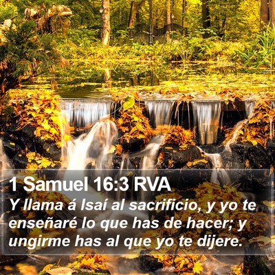 1 Samuel 16:3 RVA Bible Verse Image
