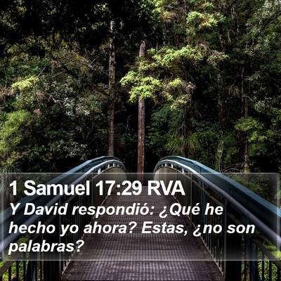 1 Samuel 17:29 RVA Bible Verse Image