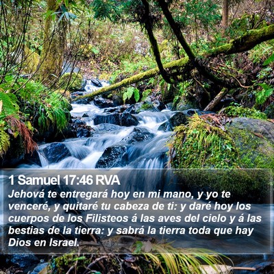 1 Samuel 17:46 RVA Bible Verse Image
