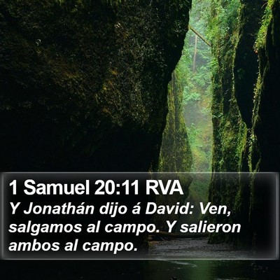 1 Samuel 20:11 RVA Bible Verse Image