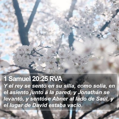 1 Samuel 20:25 RVA Bible Verse Image