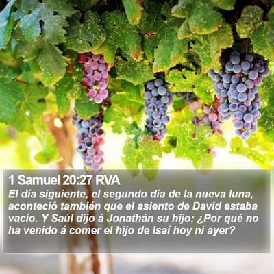 1 Samuel 20:27 RVA Bible Verse Image