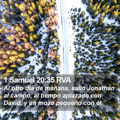 1 Samuel 20:35 RVA Bible Verse Image