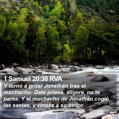 1 Samuel 20:38 RVA Bible Verse Image
