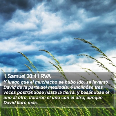 1 Samuel 20:41 RVA Bible Verse Image