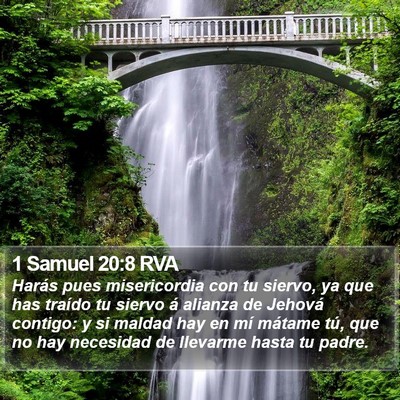 1 Samuel 20:8 RVA Bible Verse Image