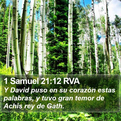 1 Samuel 21:12 RVA Bible Verse Image