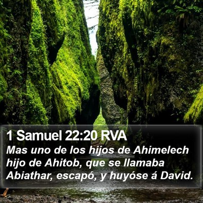 1 Samuel 22:20 RVA Bible Verse Image