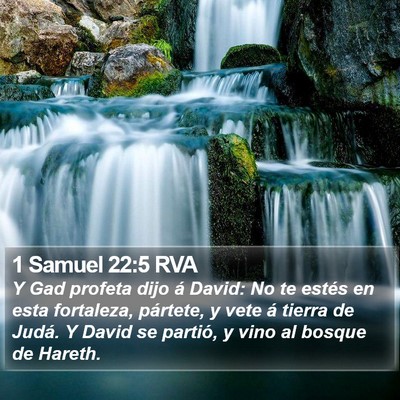1 Samuel 22:5 RVA Bible Verse Image