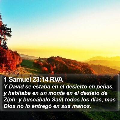 1 Samuel 23:14 RVA Bible Verse Image