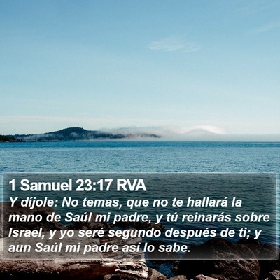 1 Samuel 23:17 RVA Bible Verse Image