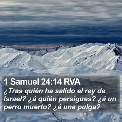 1 Samuel 24:14 RVA Bible Verse Image