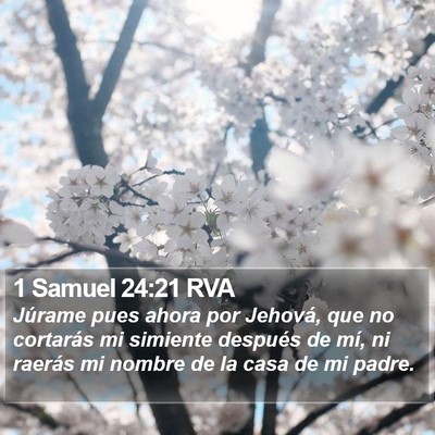 1 Samuel 24:21 RVA Bible Verse Image