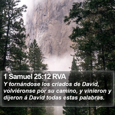 1 Samuel 25:12 RVA Bible Verse Image