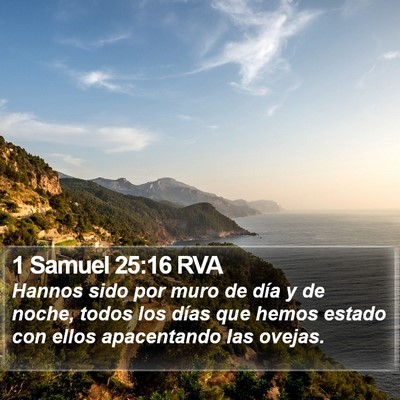 1 Samuel 25:16 RVA Bible Verse Image