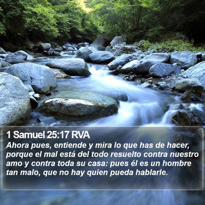 1 Samuel 25:17 RVA Bible Verse Image