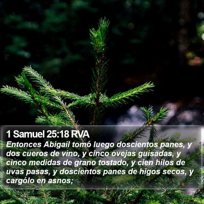 1 Samuel 25:18 RVA Bible Verse Image