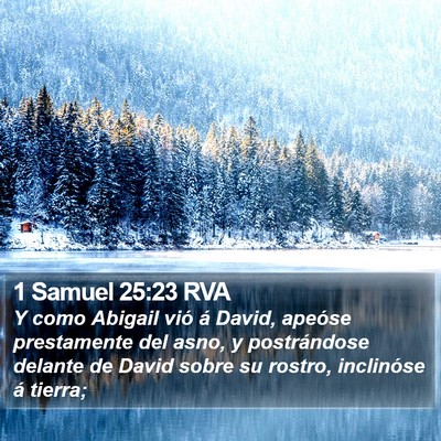 1 Samuel 25:23 RVA Bible Verse Image