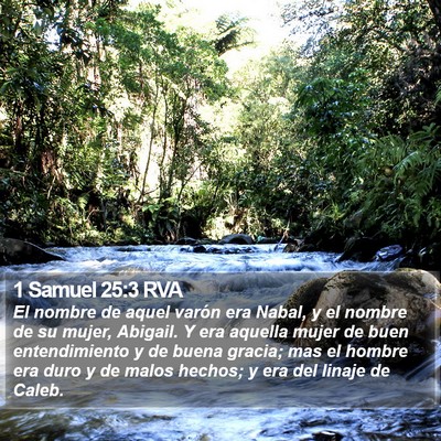 1 Samuel 25:3 RVA Bible Verse Image