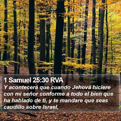 1 Samuel 25:30 RVA Bible Verse Image