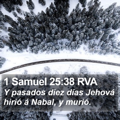 1 Samuel 25:38 RVA Bible Verse Image