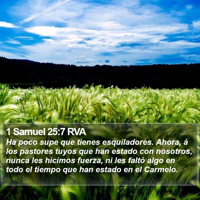 1 Samuel 25:7 RVA Bible Verse Image