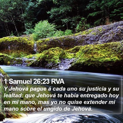 1 Samuel 26:23 RVA Bible Verse Image