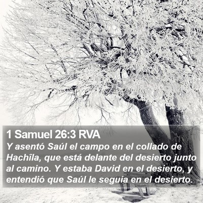 1 Samuel 26:3 RVA Bible Verse Image