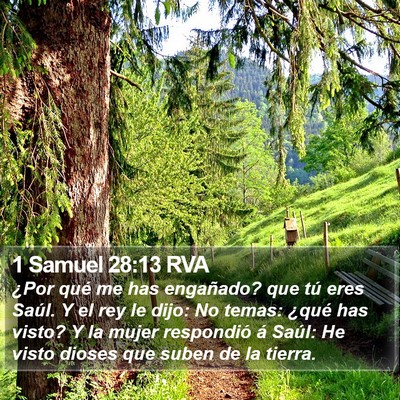 1 Samuel 28:13 RVA Bible Verse Image
