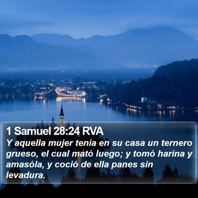 1 Samuel 28:24 RVA Bible Verse Image