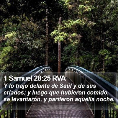 1 Samuel 28:25 RVA Bible Verse Image