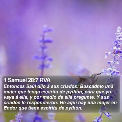 1 Samuel 28:7 RVA Bible Verse Image
