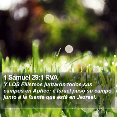 1 Samuel 29:1 RVA Bible Verse Image