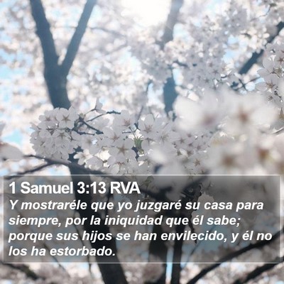 1 Samuel 3:13 RVA Bible Verse Image
