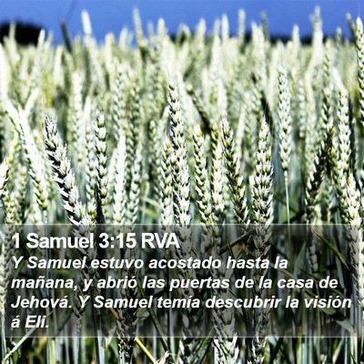 1 Samuel 3:15 RVA Bible Verse Image
