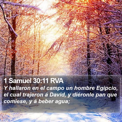 1 Samuel 30:11 RVA Bible Verse Image