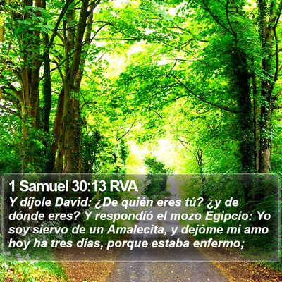 1 Samuel 30:13 RVA Bible Verse Image