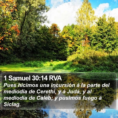 1 Samuel 30:14 RVA Bible Verse Image