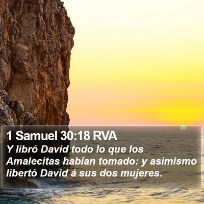 1 Samuel 30:18 RVA Bible Verse Image