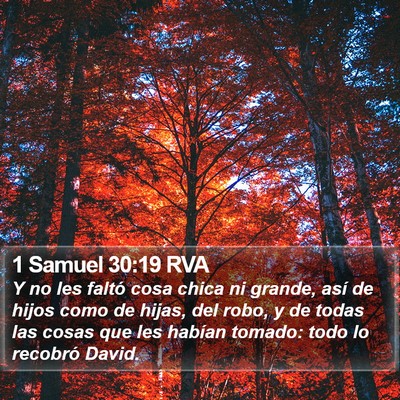 1 Samuel 30:19 RVA Bible Verse Image