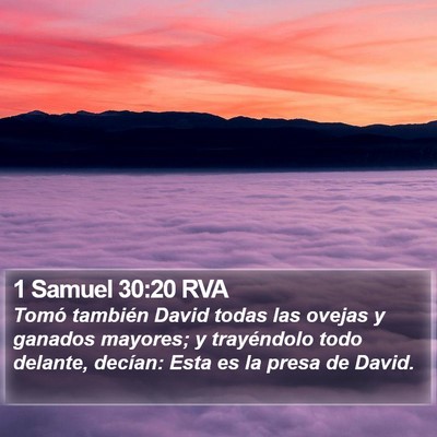 1 Samuel 30:20 RVA Bible Verse Image