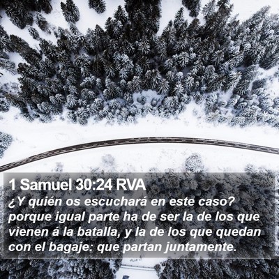 1 Samuel 30:24 RVA Bible Verse Image