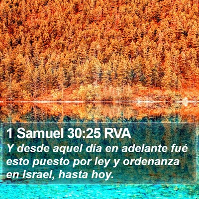 1 Samuel 30:25 RVA Bible Verse Image
