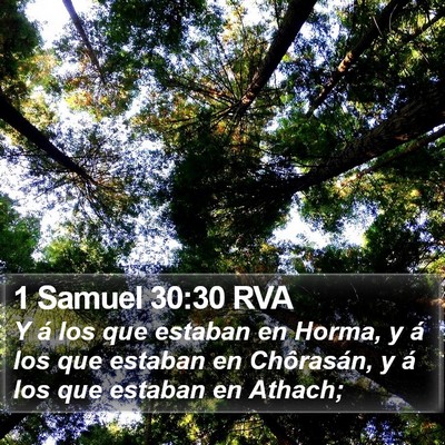 1 Samuel 30:30 RVA Bible Verse Image