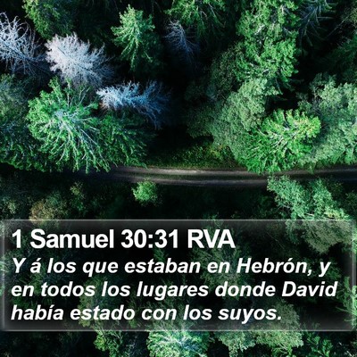 1 Samuel 30:31 RVA Bible Verse Image