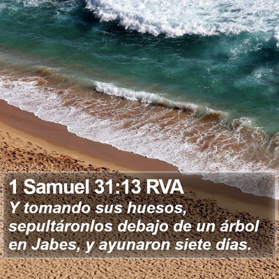 1 Samuel 31:13 RVA Bible Verse Image