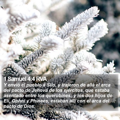 1 Samuel 4:4 RVA Bible Verse Image